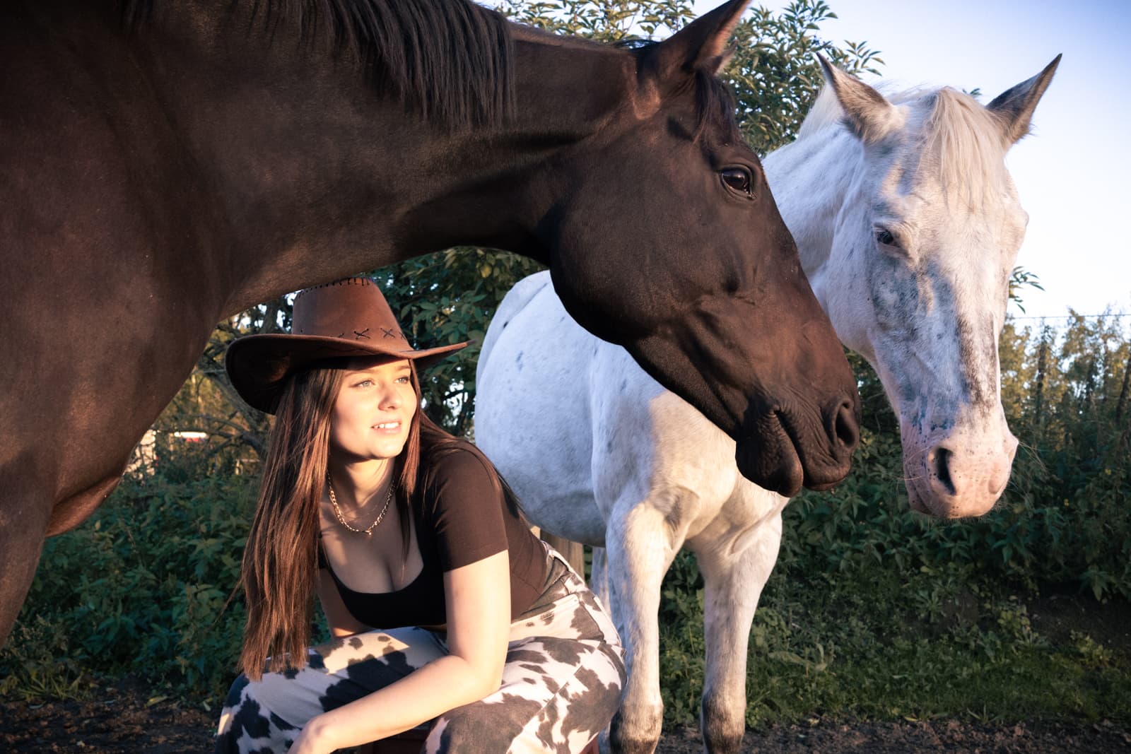 Woman with cowboy hat and two horses