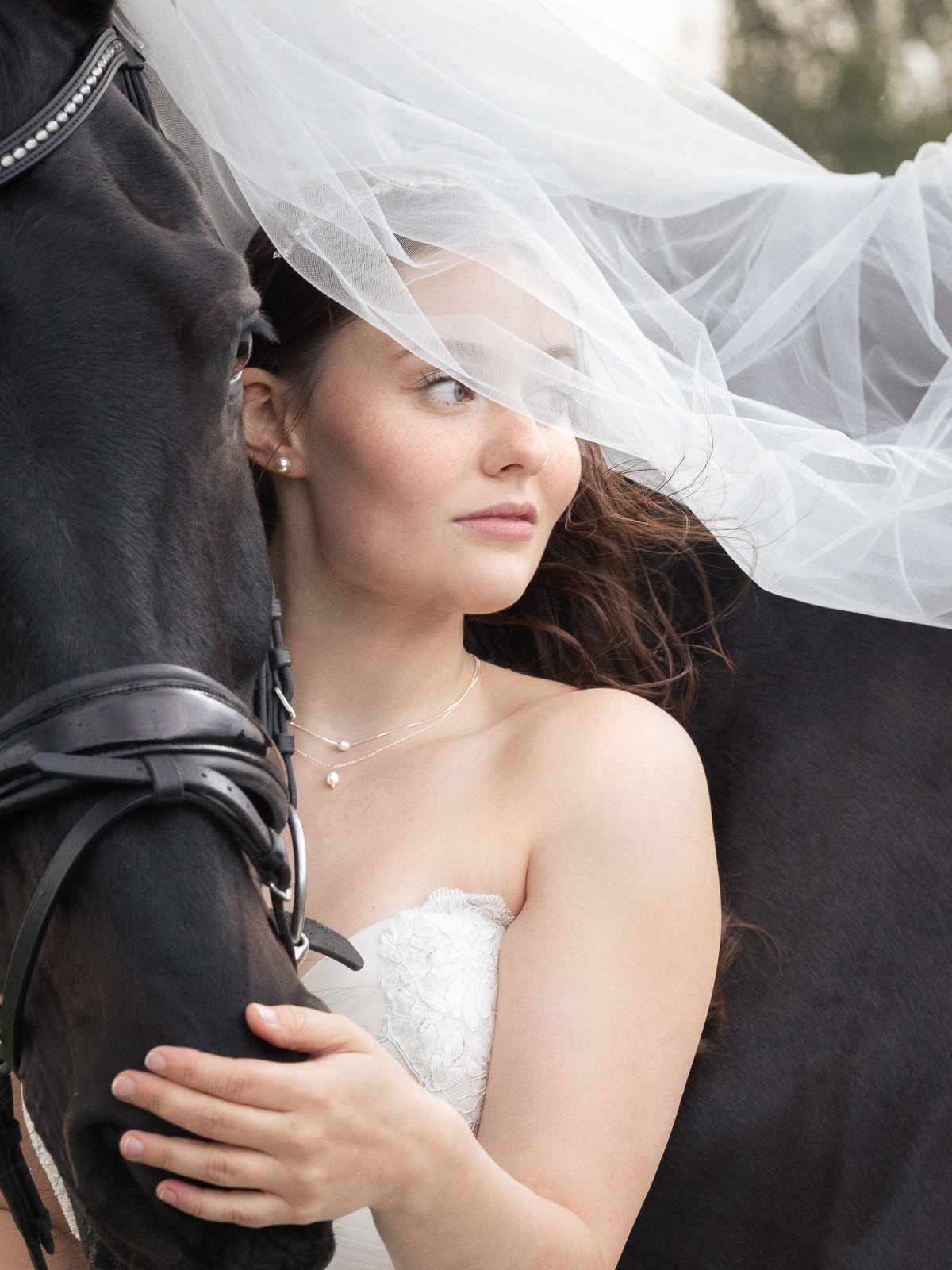 Bride with flowing veil embracing dark horse
