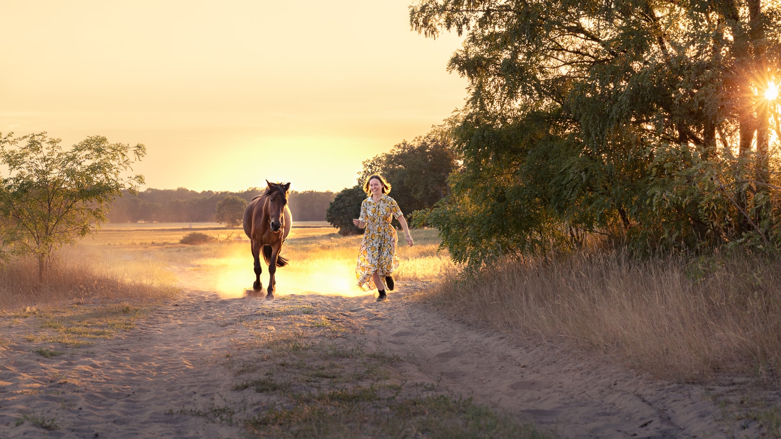 Woman and horse walking together in warm golden sunset