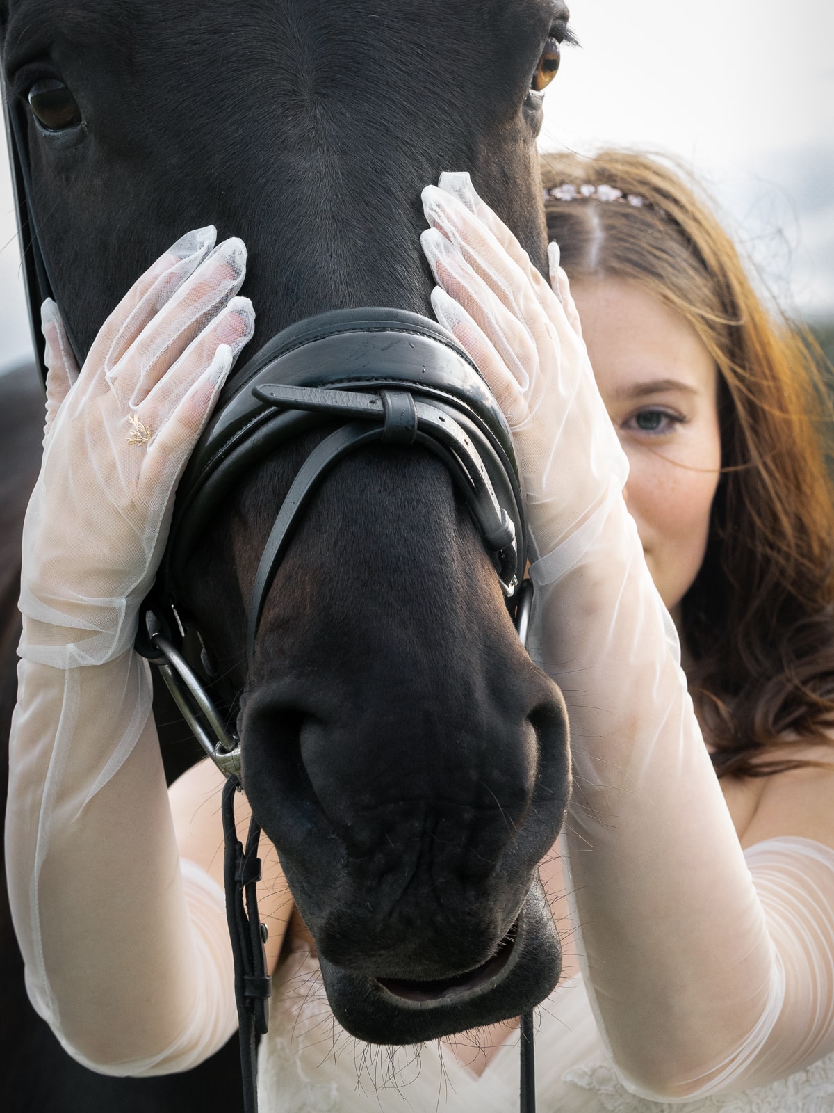 Wedding couple with horse in fairytale lighting